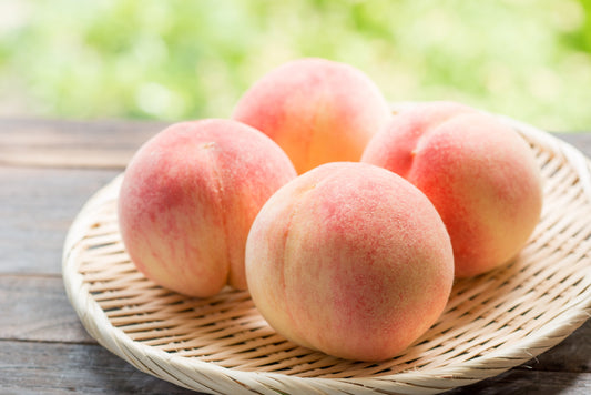 The Elegance of Yamanashi Peaches🍑