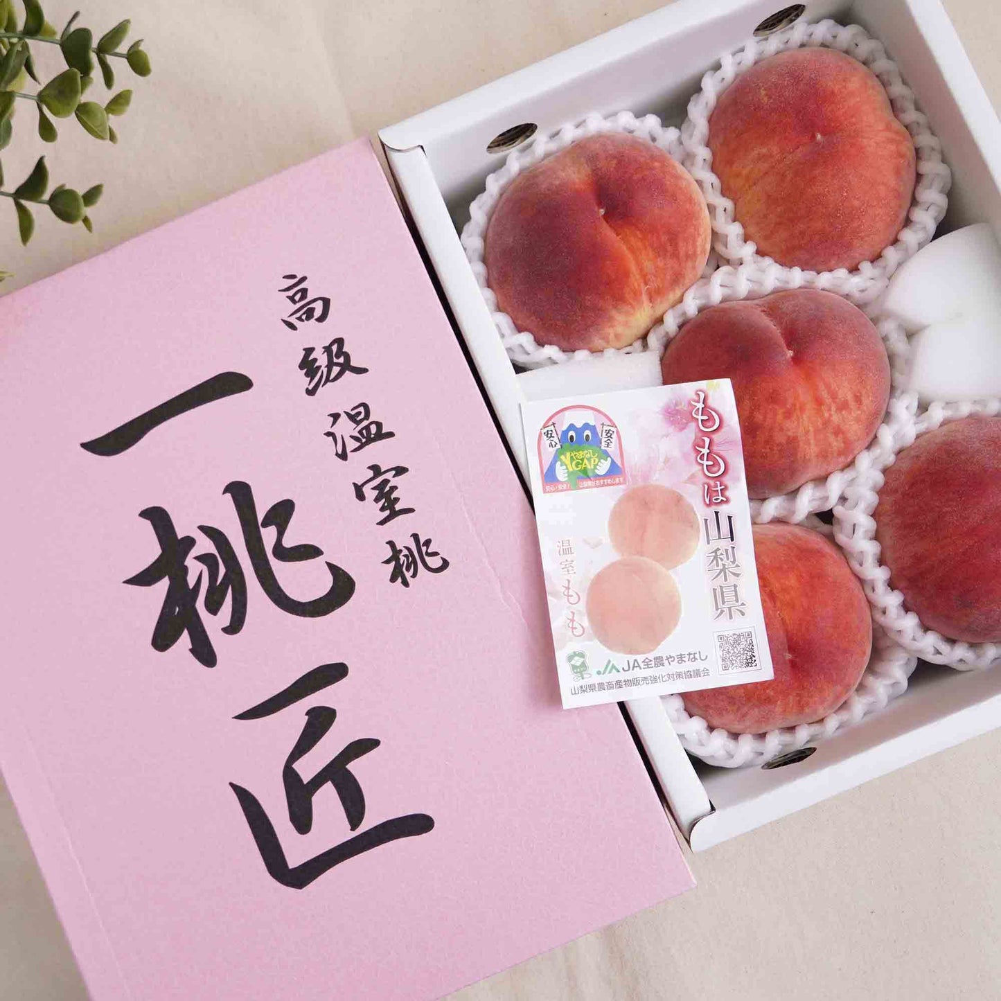 Yamanashi Ittoushou Hakuhou White Peach Box Set