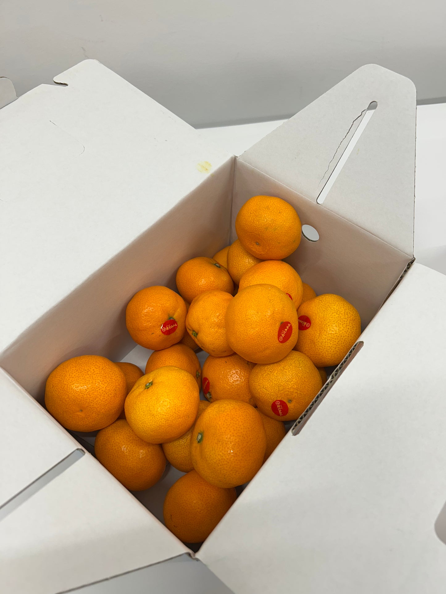 Ehime Maruma Mikan Gift Box