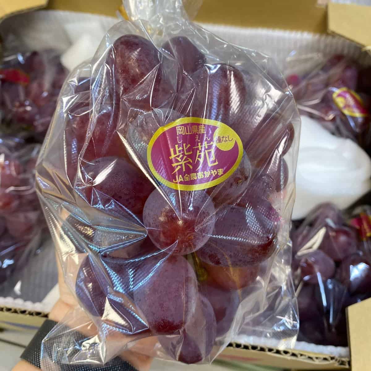 Okayama Shi-en Red Grape (800g)