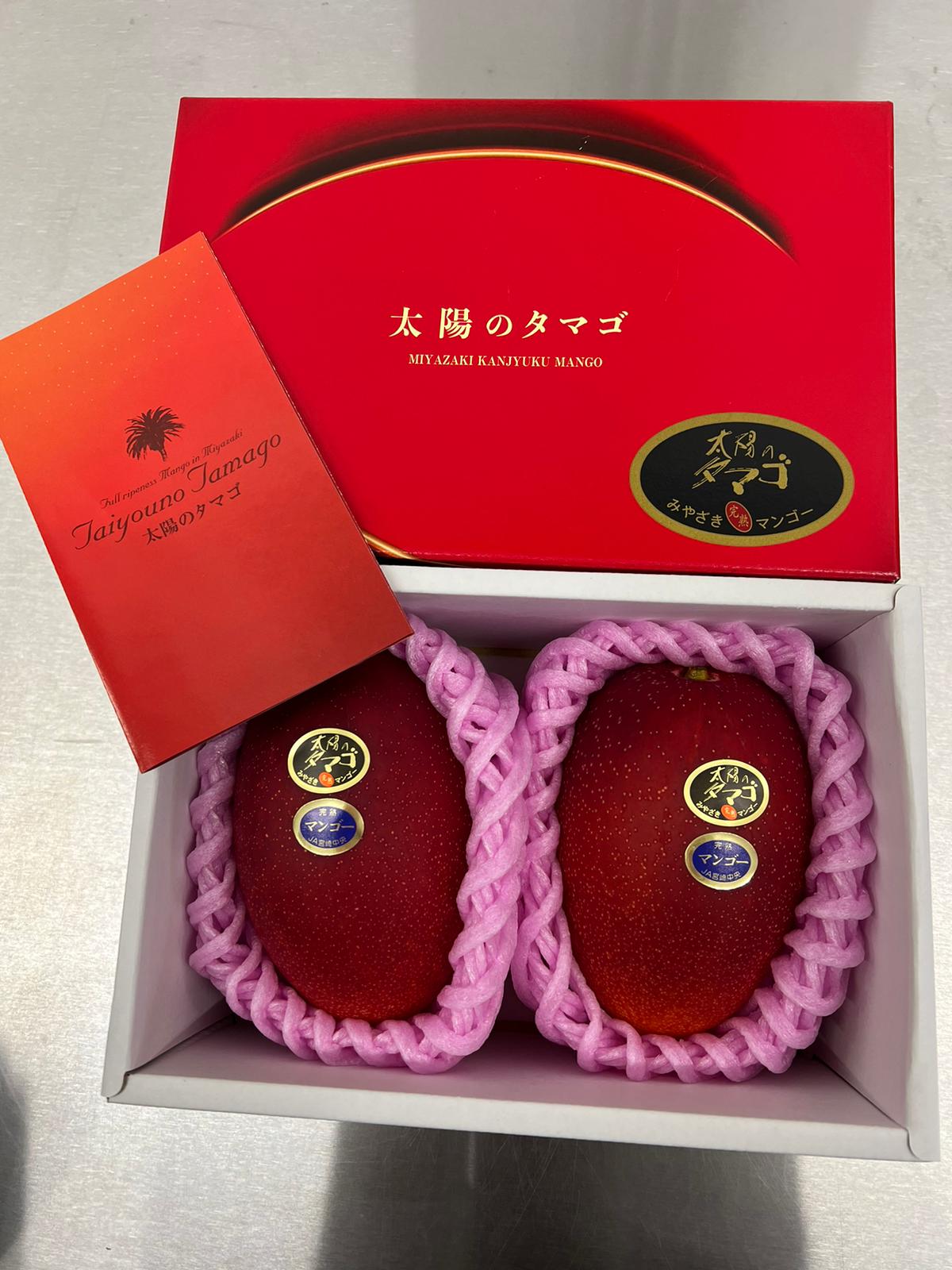 Miyazaki Taiyo no Tamago Mango (4L) Gift Box