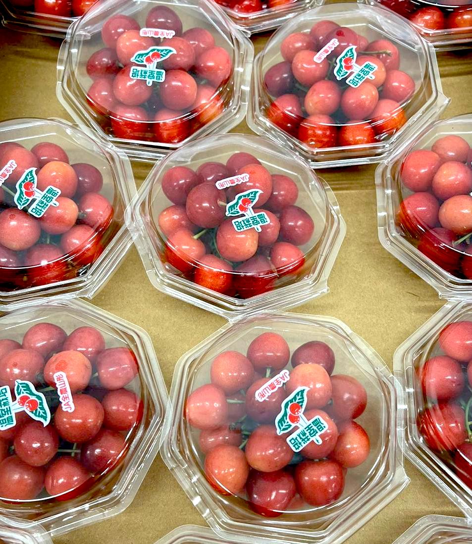Yamagata Cherry 100g