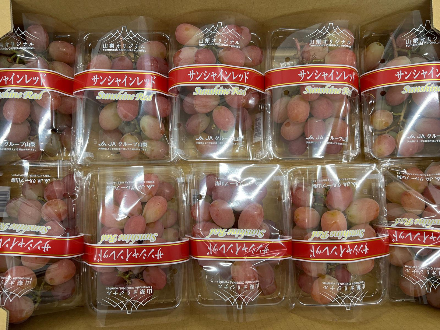 Yamanashi Sunshine Red Grape (600g)