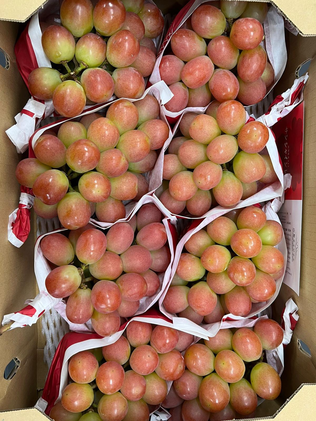 Yamanashi Sunshine Red Grape (600g)