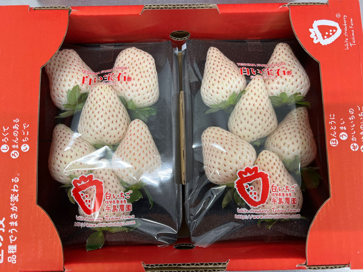 Saga White Jewel Strawberry (210g x2)