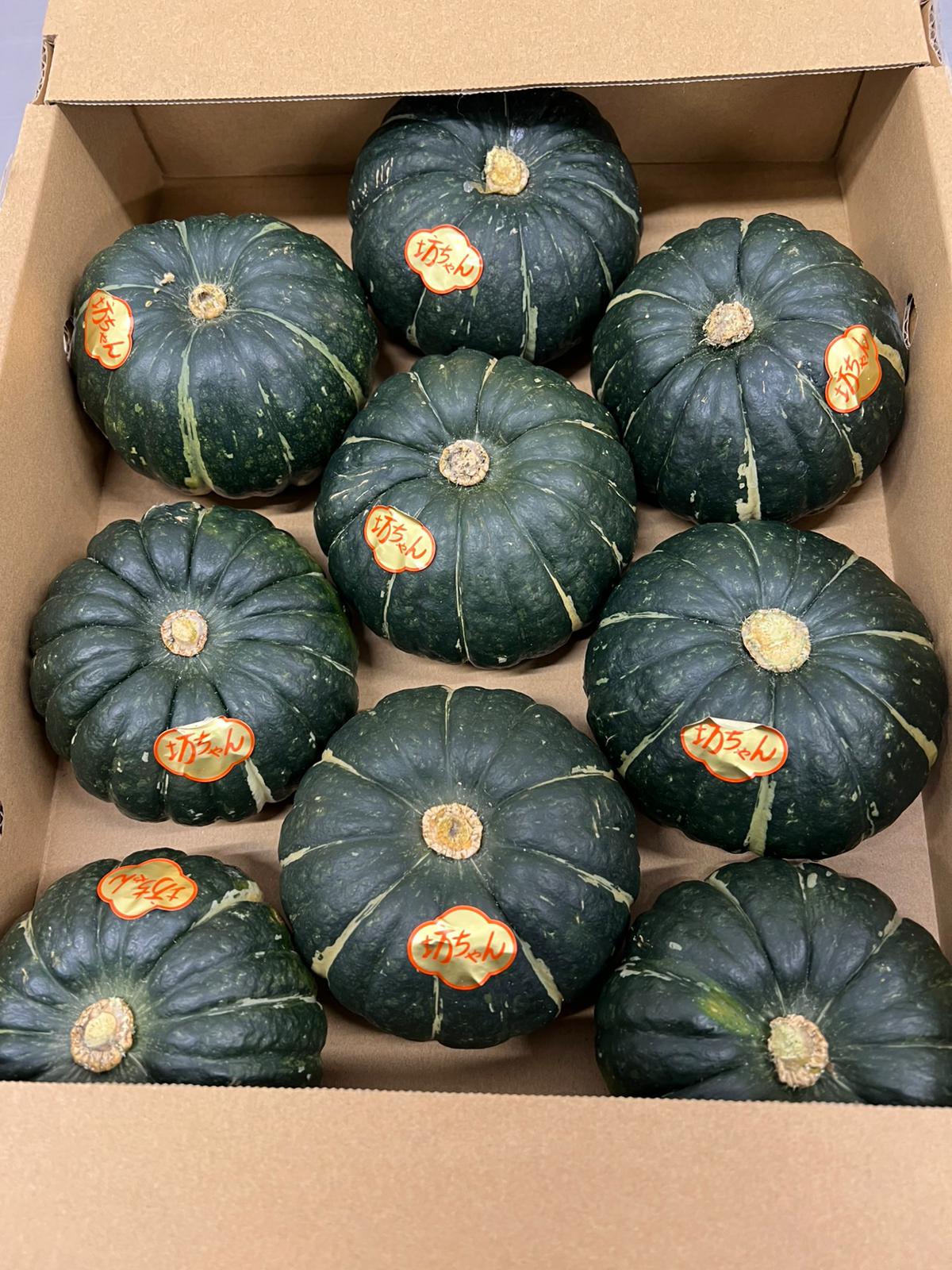Kumamoto Boachan Pumpkin (400g)