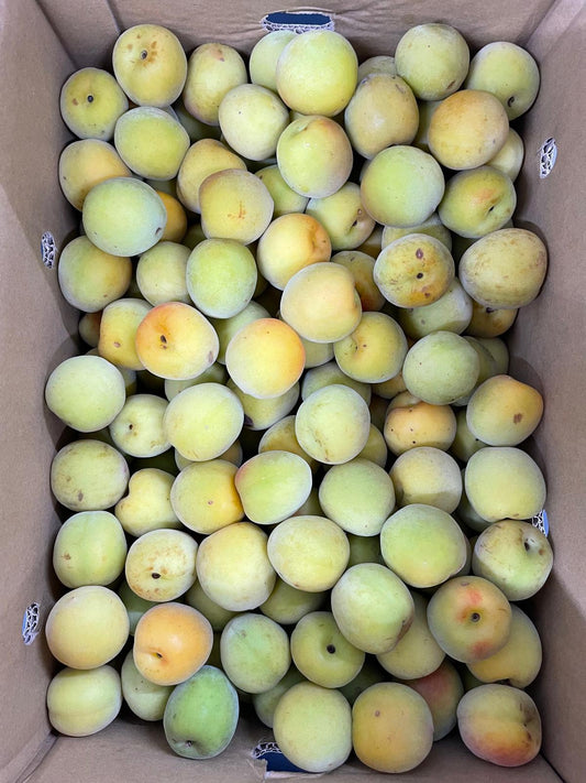 Wakayama Nanko Ume Plum (1kg)