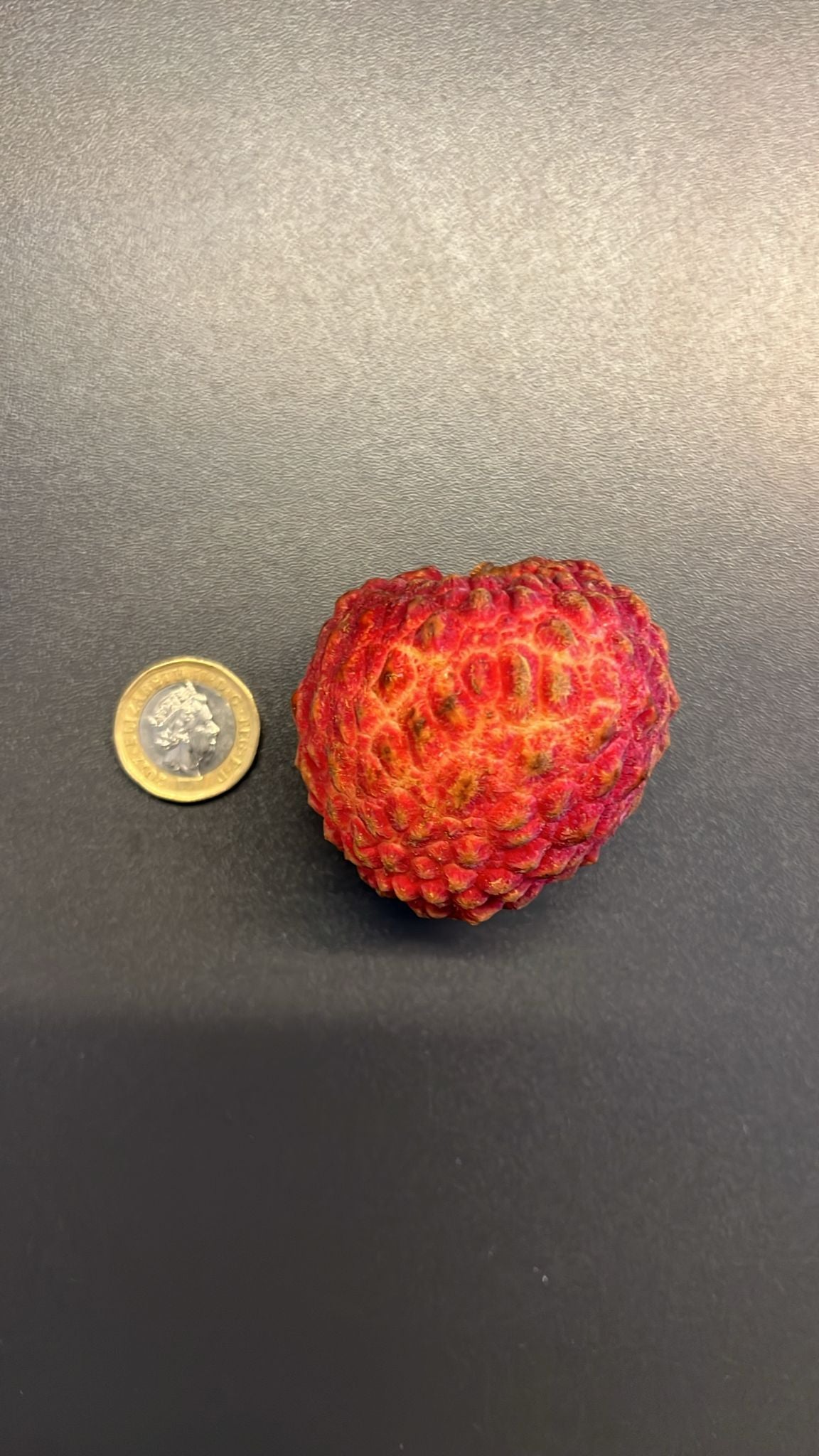 Haikou Litchi Lychee King 500g