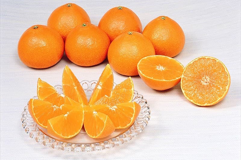 Ehime Madonna Orange Gift Box (3kg)