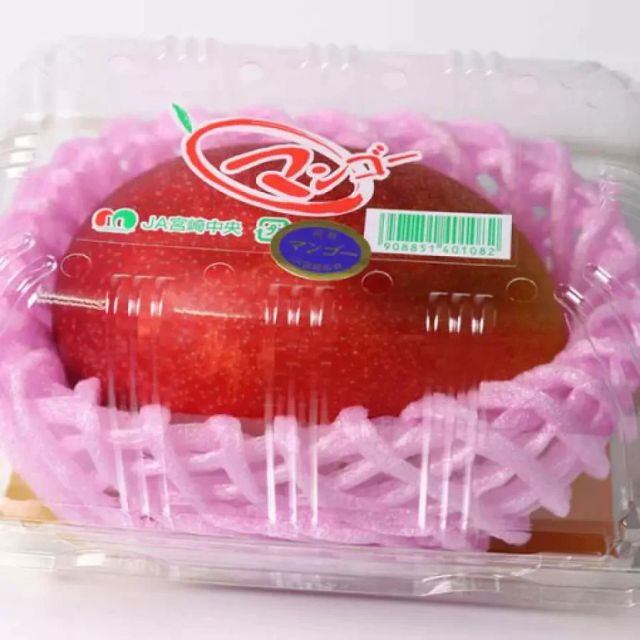 Miyazaki Kanjuku Mango