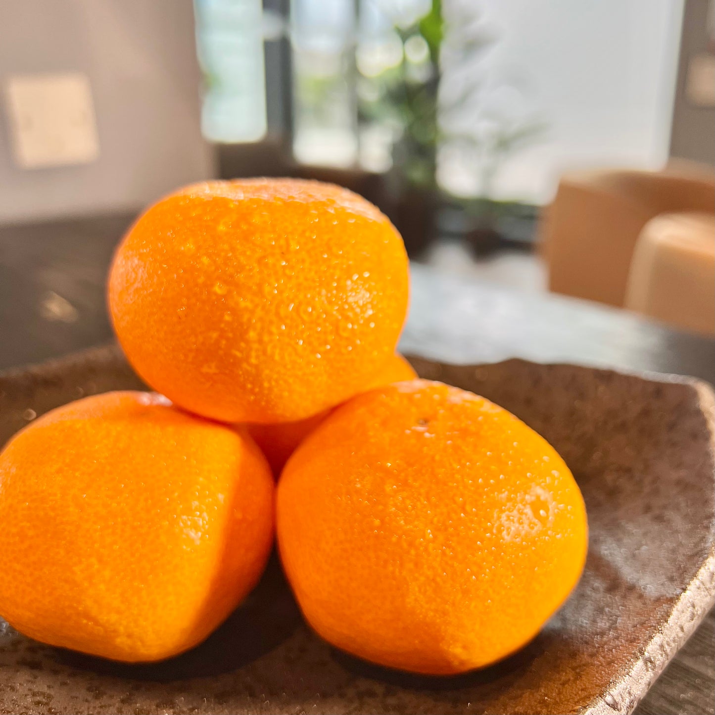 Ehime Mikan (Mandarin Orange) Gift Box