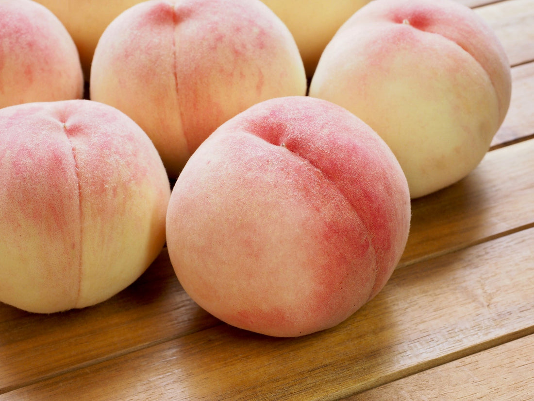 Yamanashi Ittoushou Hakuhou White Peach 🍑 – Where Peaches Are a Work of Art
