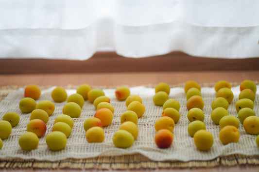 Meet the Nanko Ume, Craft Your Own Japanese Plum Liqueur!