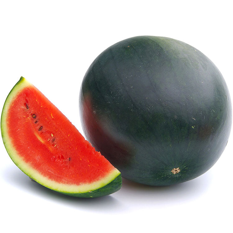 Kumamoto Black Skin Kodama Watermelon