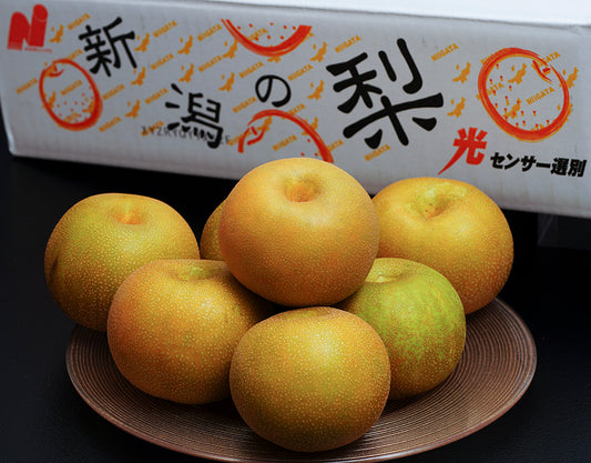 Niigata Shinmizuki Pear (1 pc)