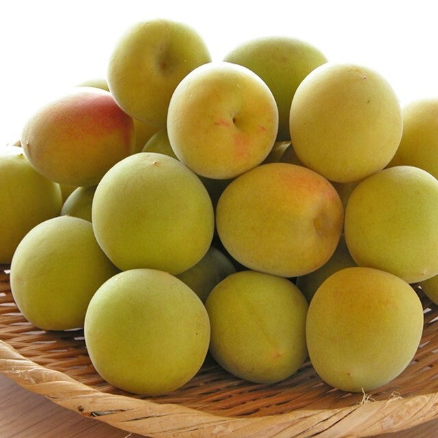 Wakayama Nanko Ume Plum (1kg)