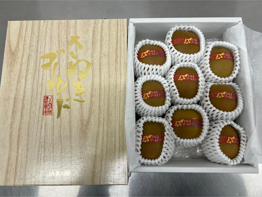 Kagawa Gold Kiwi Gift Box
