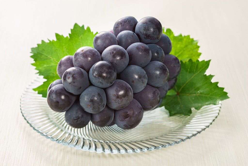 Okayama Aurora Black Grape