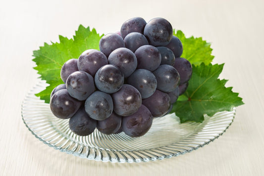 Okayama Aurora Black Grape