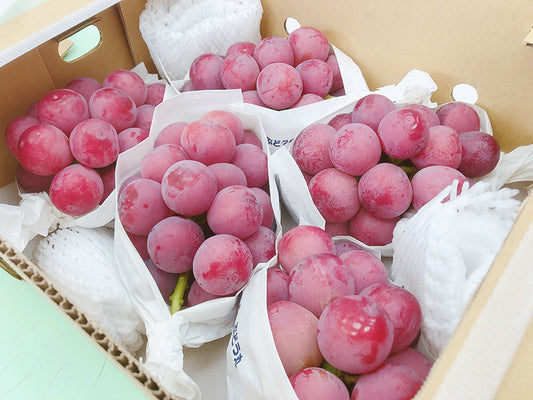 Nagano Queen Nina Grape (400g)
