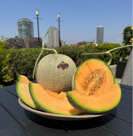 Hokkaido Yubari Raiden Melon