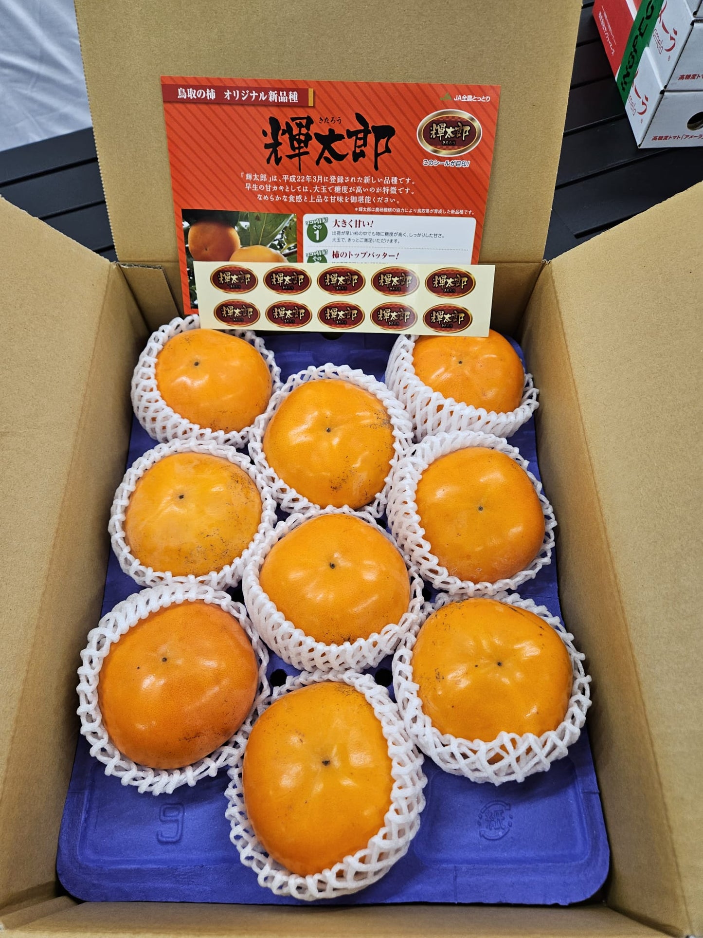 Tottori Kitaro Persimmon (1 pc)