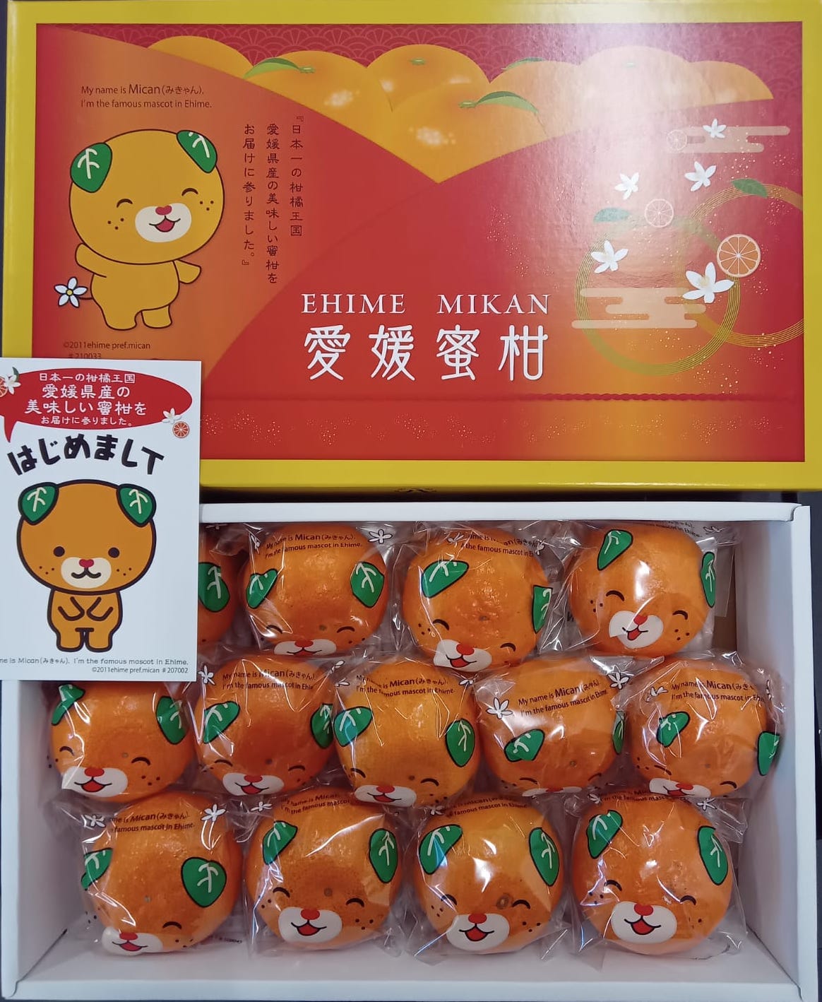 Ehime Kara Mikan Gift Box