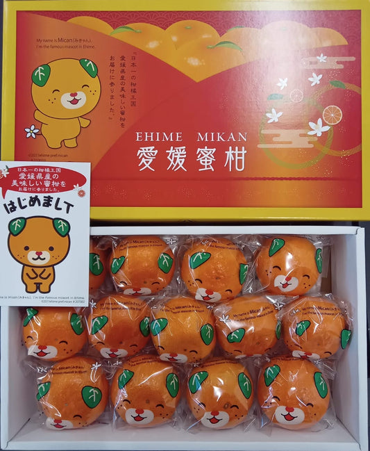 爱媛小熊蜜柑礼盒