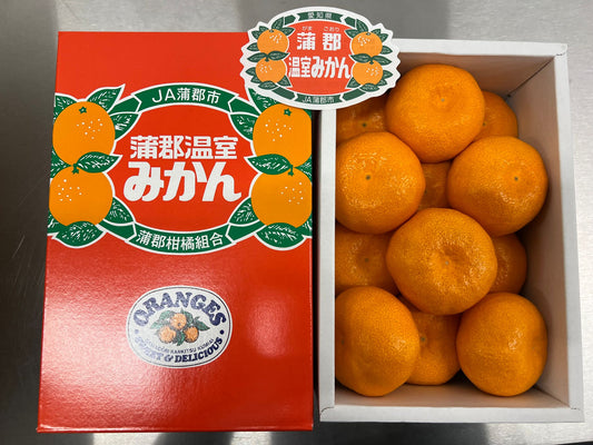 愛知蒲郡蜜柑禮盒