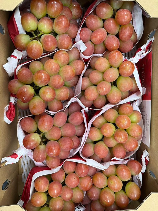 Yamanashi Sunshine Red Grape (600g)