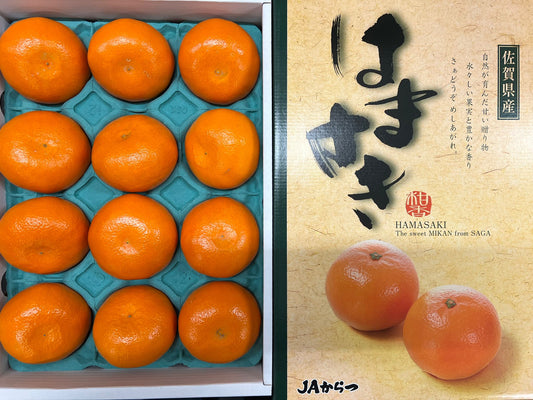 Saga Hamasaki Mikan Gift box