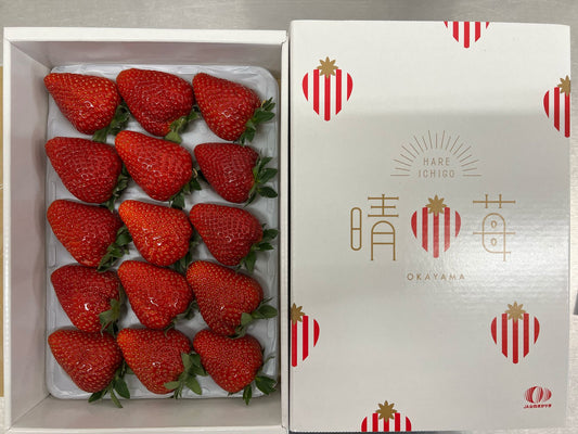 Okayama Oishiberry Strawberry Gift Box