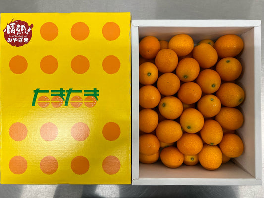 Miyazaki Kumquat Gift Box