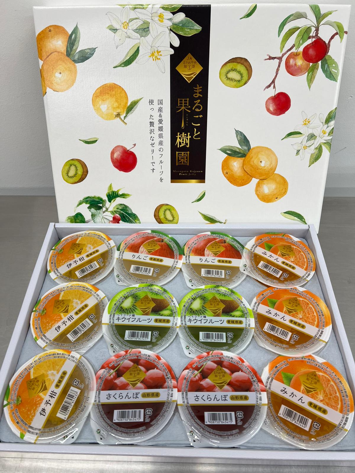 Ehime Marugoto Fruit Jelly (Gift Box)