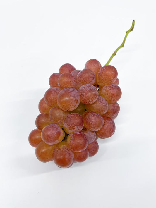 Okayama Shi-en Red Grape (600g)