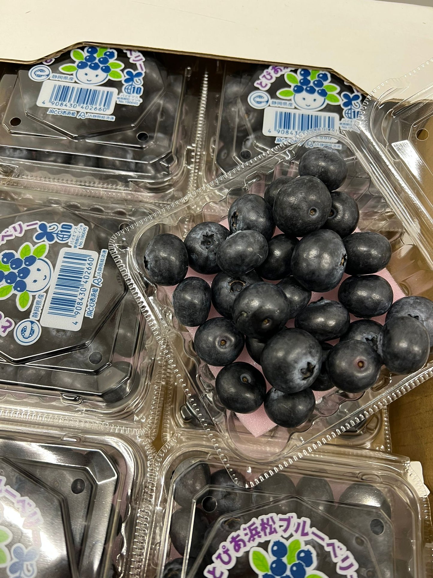 爱媛/茨城 蓝莓 100g