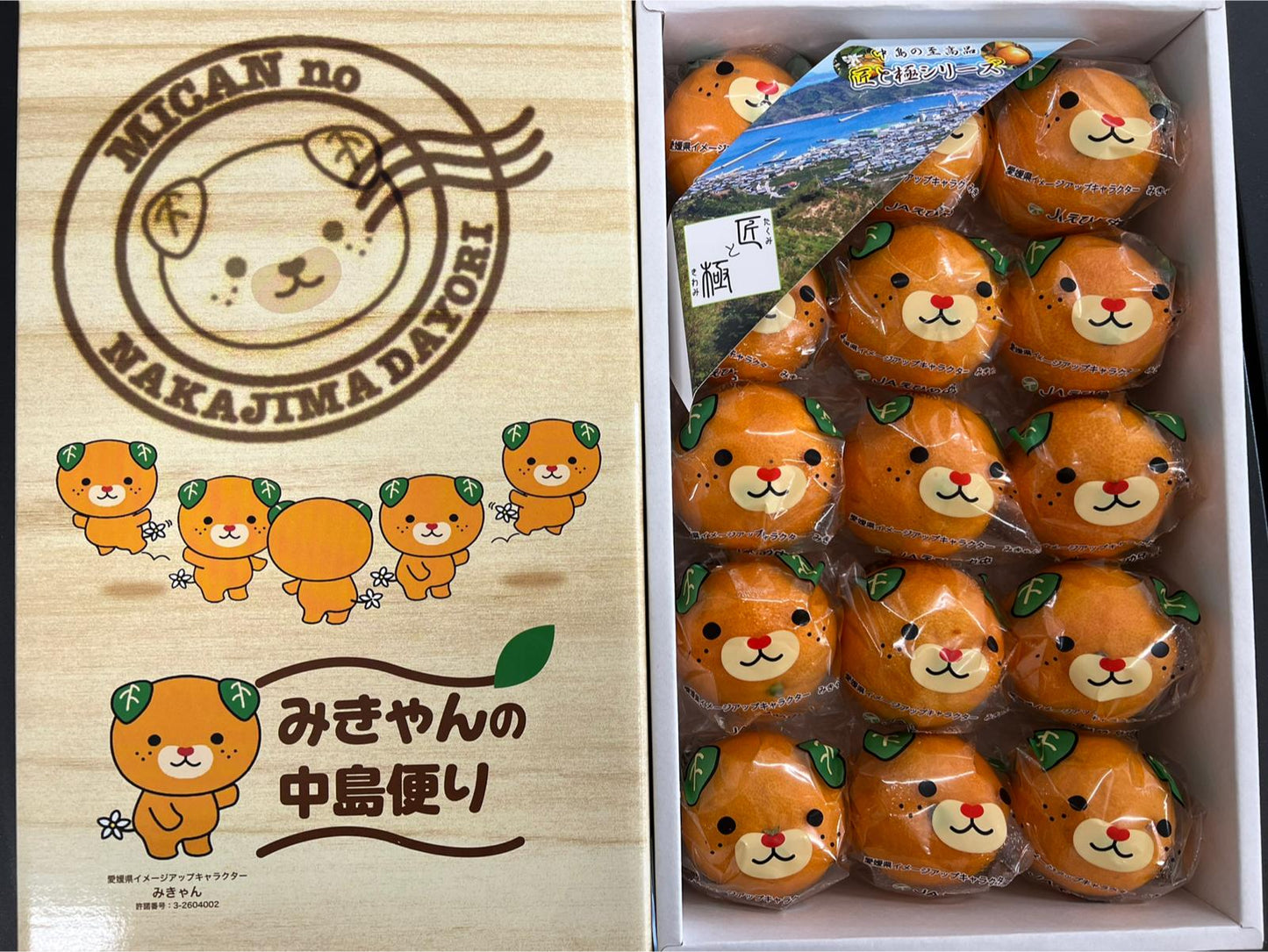 Ehime Kara Mikan Gift Box