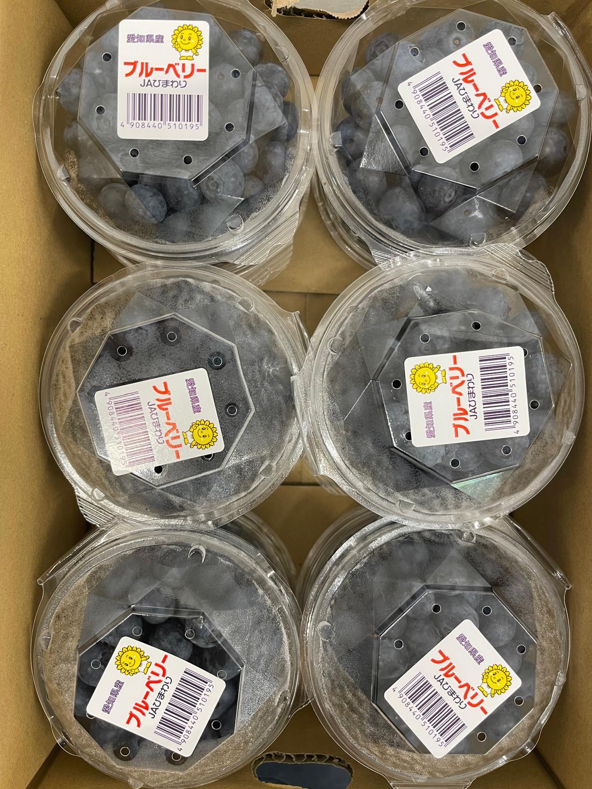 Ehime/Shizuoka/Ibaragi/Aichi Blueberry 100g