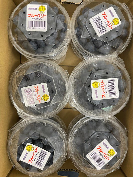 Ehime/Shizuoka/Ibaragi/Aichi Blueberry 100g