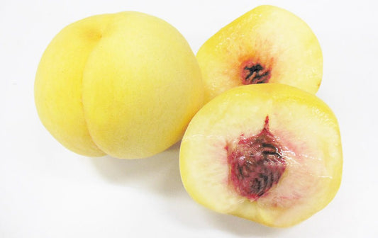 Yamanashi White Beauty Peach (1 pc)